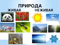 Классификация 